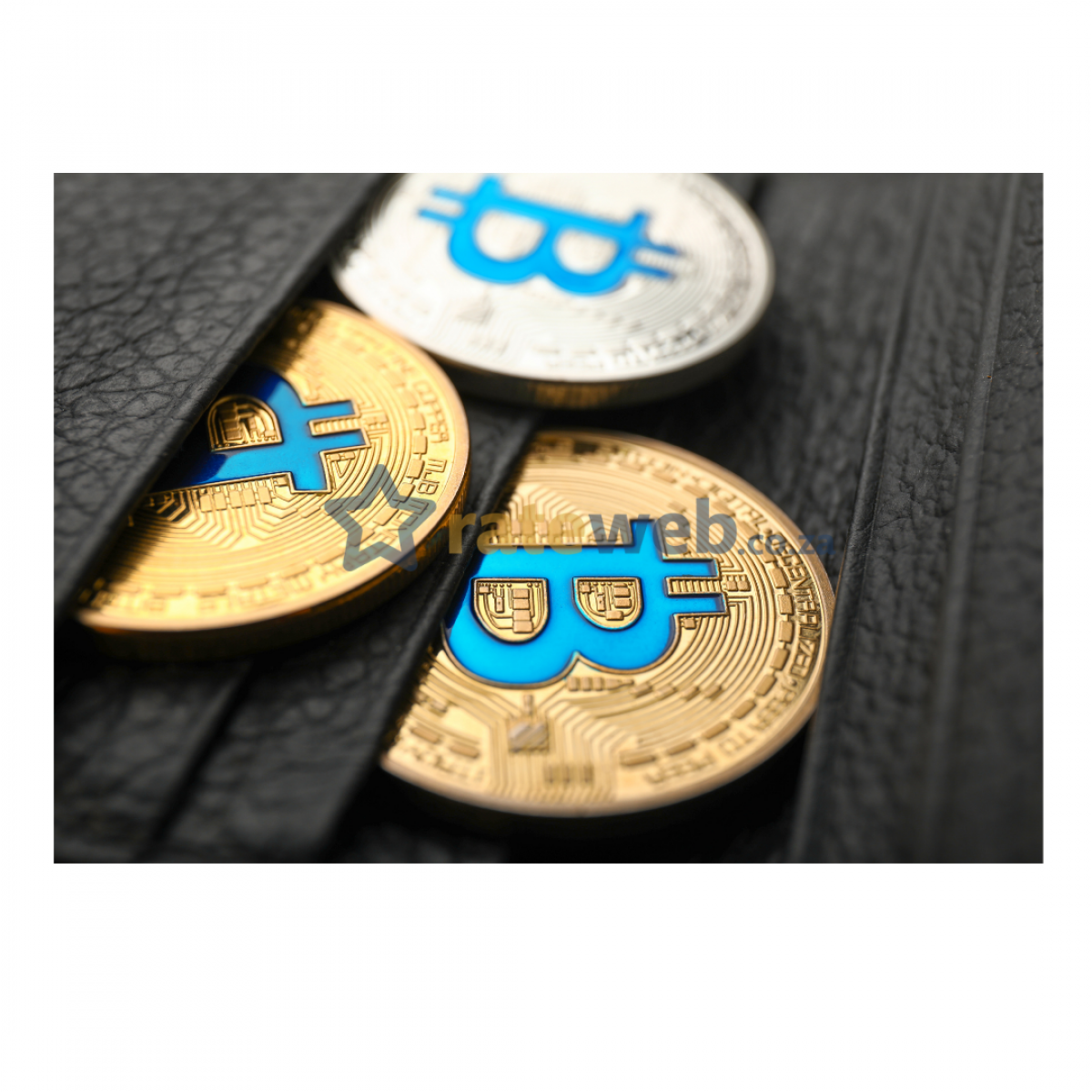 Best Bitcoin Wallets In South Africa 2021 Rateweb