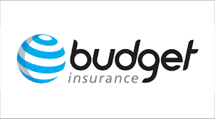 Budget Insurance Life Insurance Review 2022