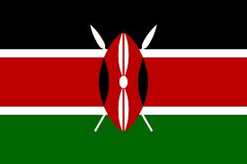 NEAR Foundation collaborates with Kenya Sankore to develop the Kenyan blockchain community