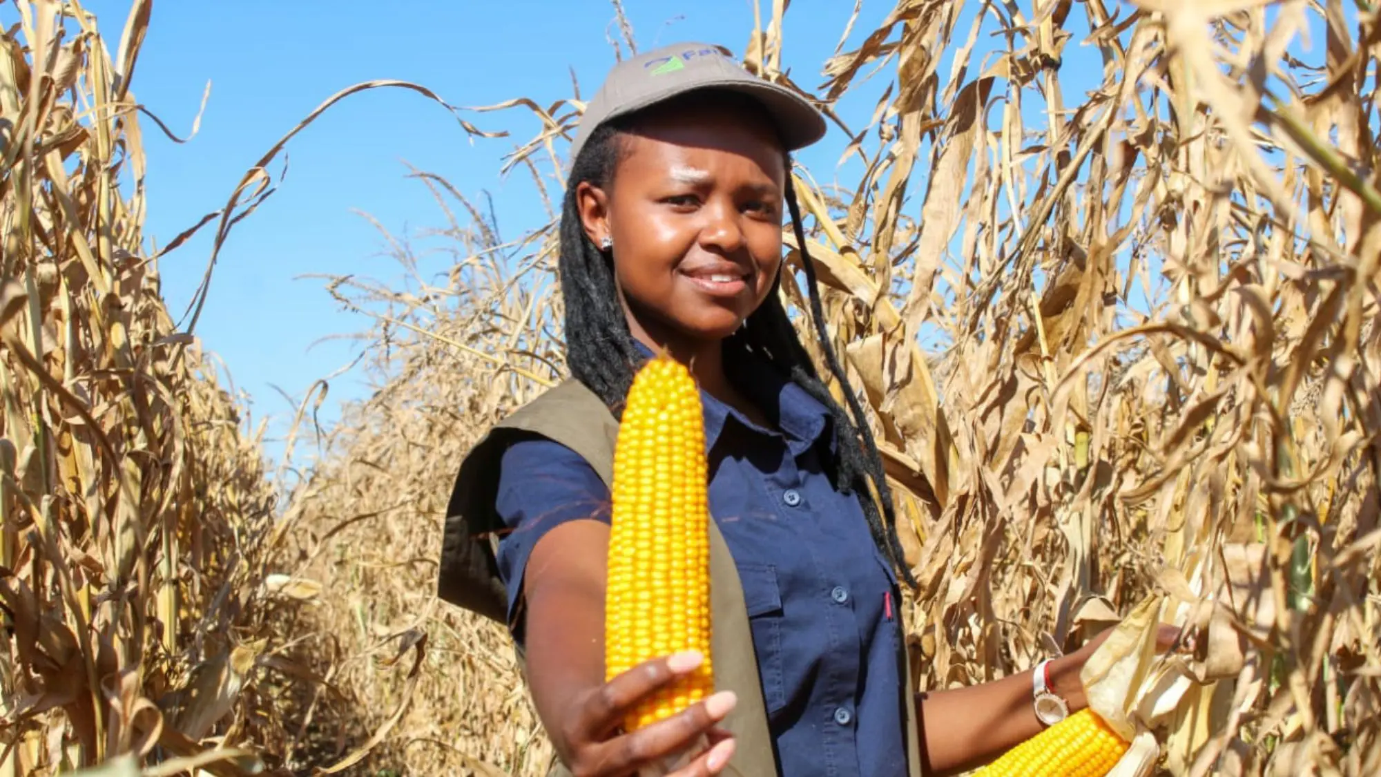 Average Farm Worker salary in South Africa 2024 Rateweb South Africa