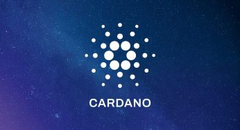 Cardano Price Poised for Leap, Whale Activity Spurs Optimism