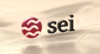 Sei’s Price Recovery Faces Hurdles: Potential Rally or Retreat?