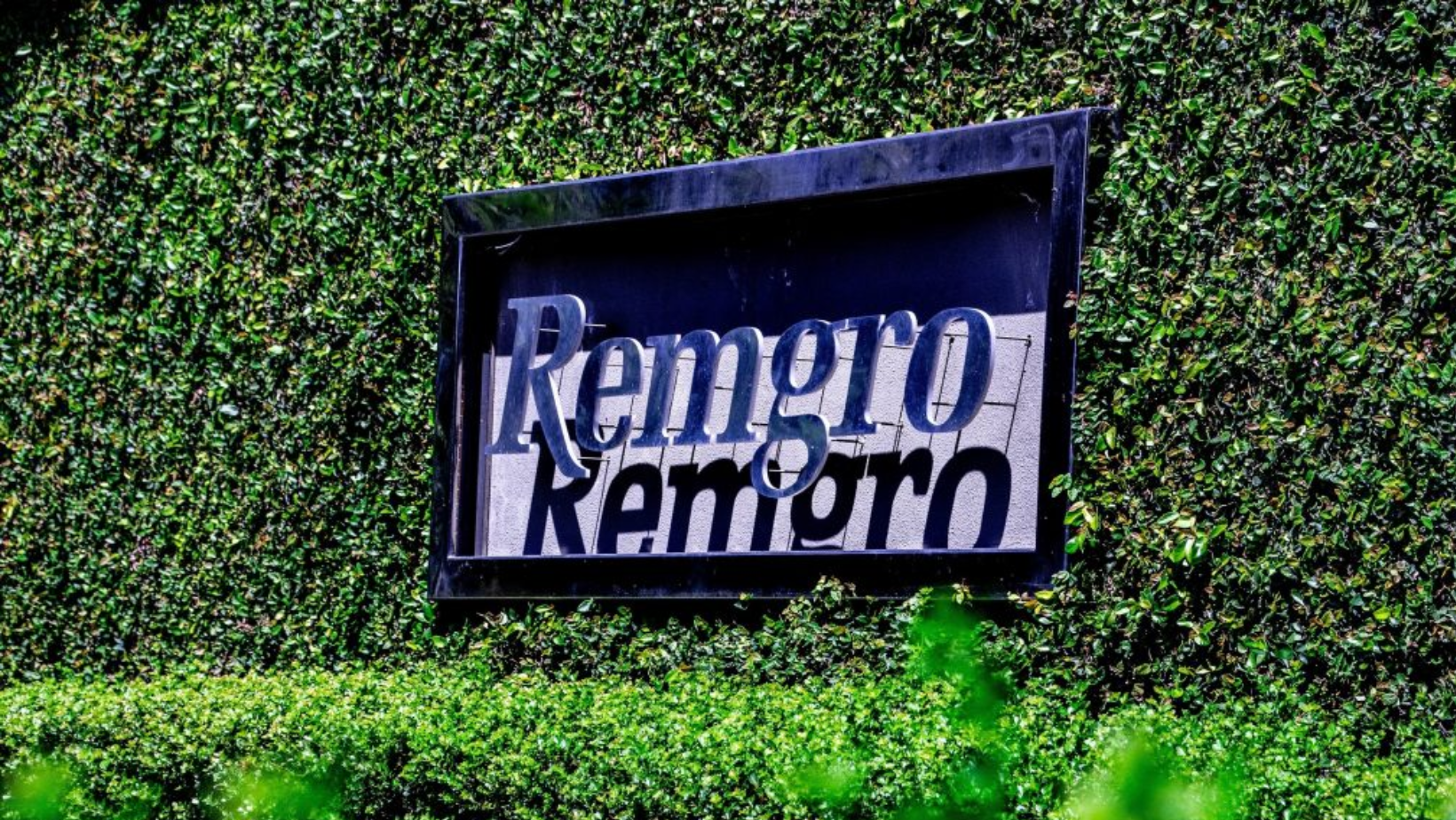 Remgro’s AGM Triumph: Board Shake-Up and Shareholder Sparks – A Deep Dive into Corporate Moves