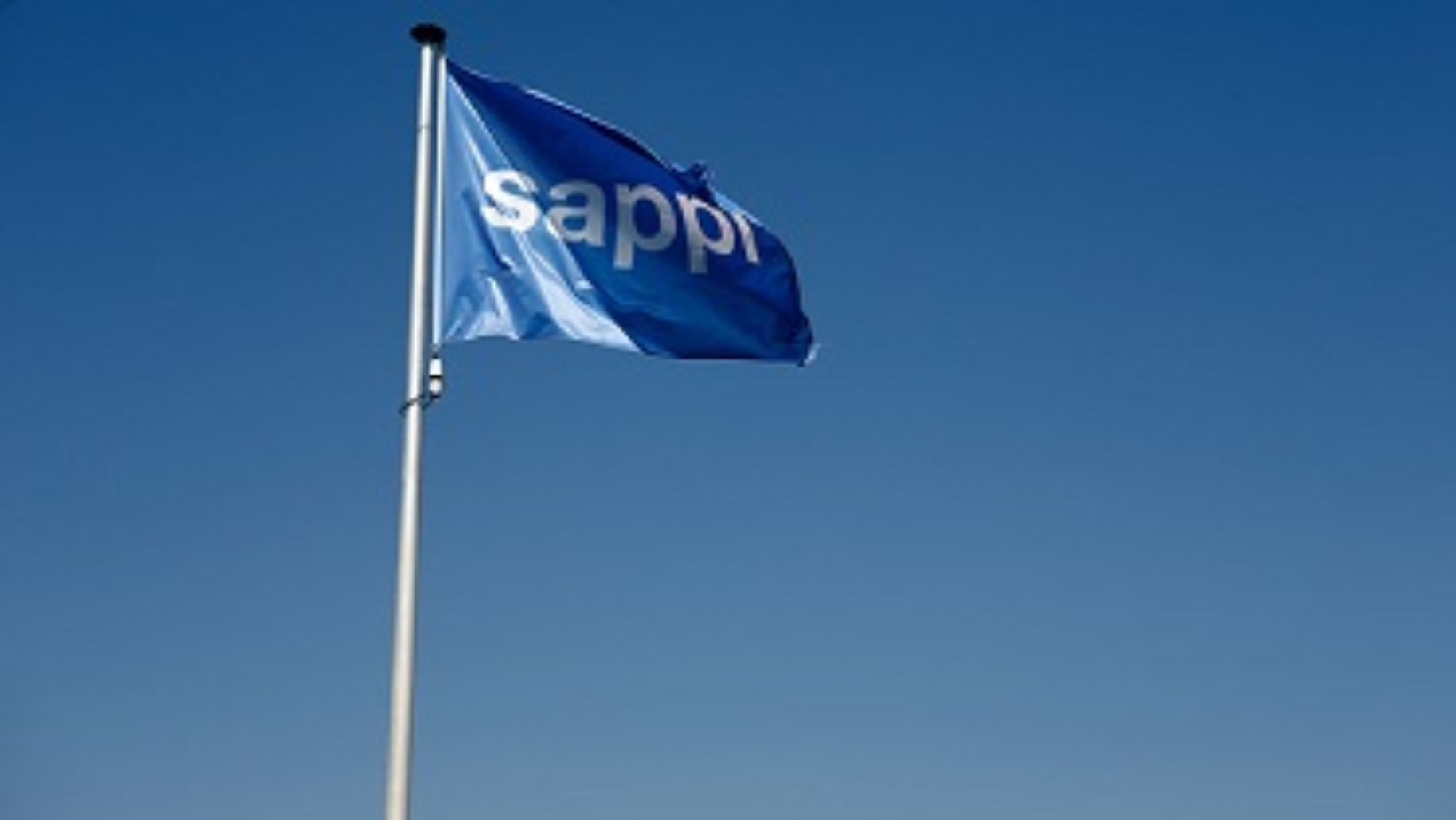 Sappi Southern Africa's Partial Capital Reduction | Rateweb