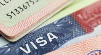 South Africa Unveils Bold Plan to Clear Visa Backlog