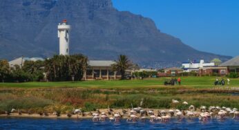 Golf’s Billion-Dollar Impact: South Africa’s Lucrative Economic Driver