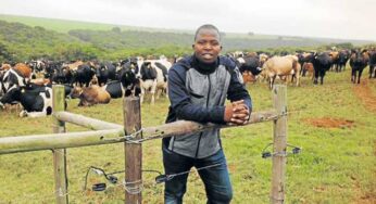 Eastern Cape Farmers Thrive: Livestock Program Empowers Rural Growth