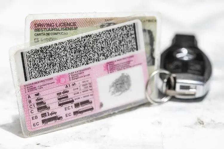 South African Driver s Licence Renewal Guide 2023 Rateweb South Africa blog-posts-glotoday